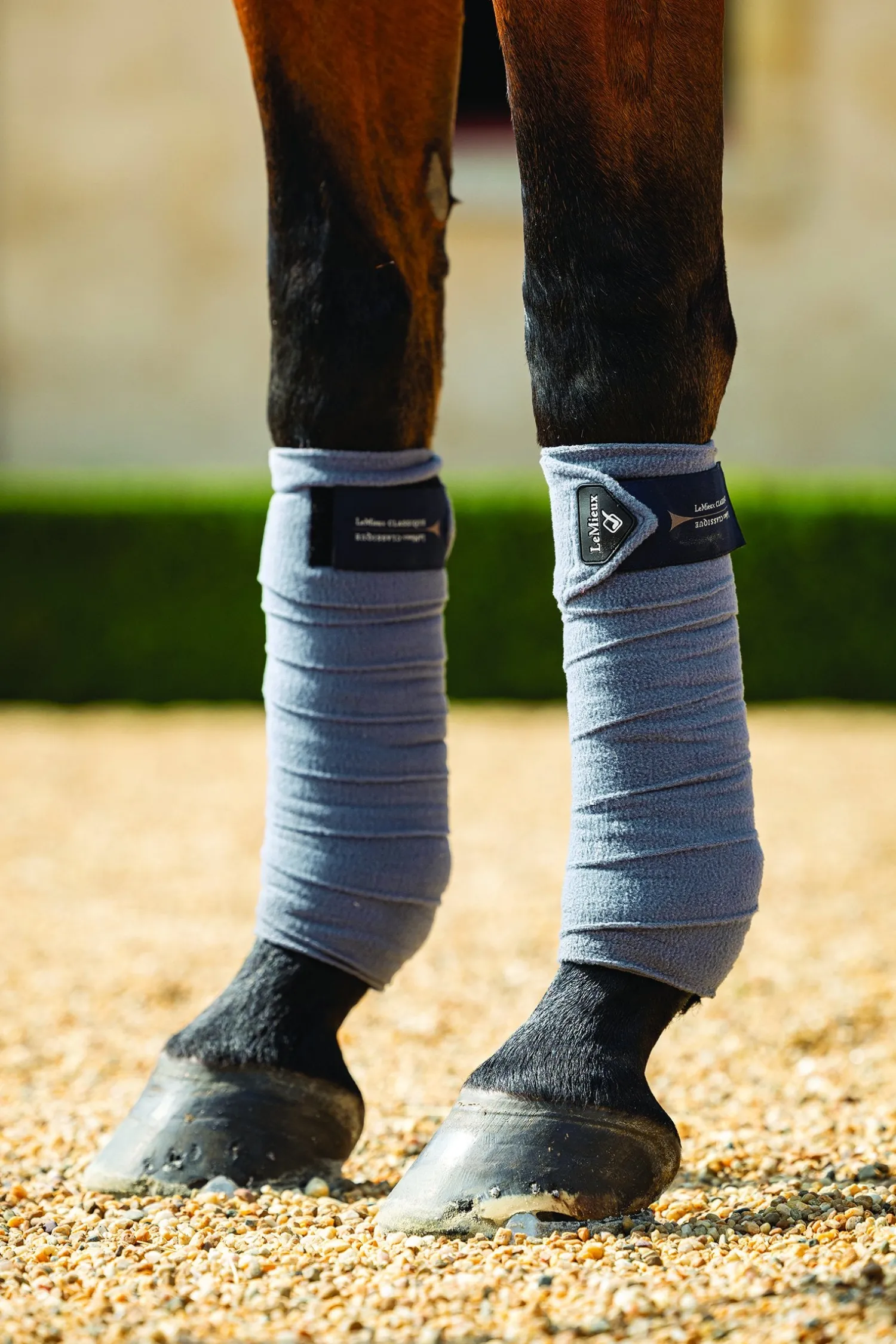 Online HORSE HEALTH TRADE LeMieux® Classique Polo Wraps