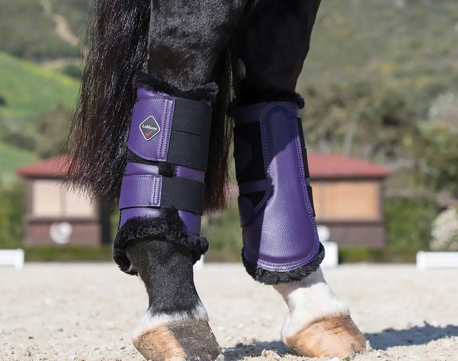 Outlet HORSE HEALTH TRADE LeMieux® Fleece-Lined Brushing Boots