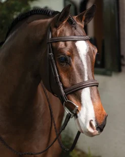 Best HORSE HEALTH TRADE LeMieux® Hunter-Stitched Bridle Havana