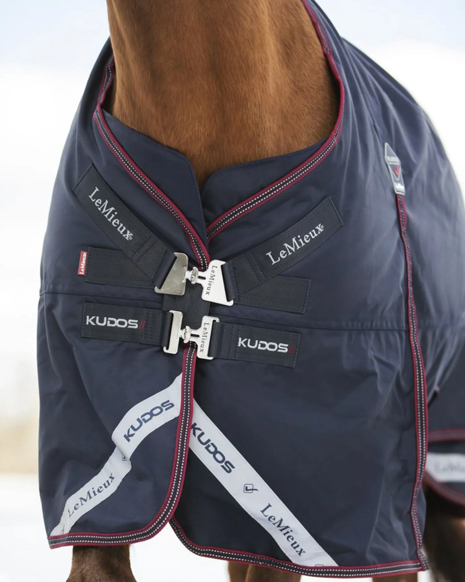 Best HORSE HEALTH TRADE LeMieux® Kudos 200 Gram Turnout Blanket with Leg Straps Navy