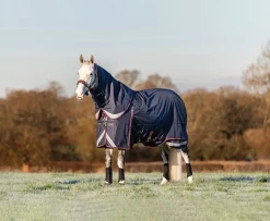Outlet HORSE HEALTH TRADE LeMieux® Kudos 200 Gram Turnout Blanket Navy