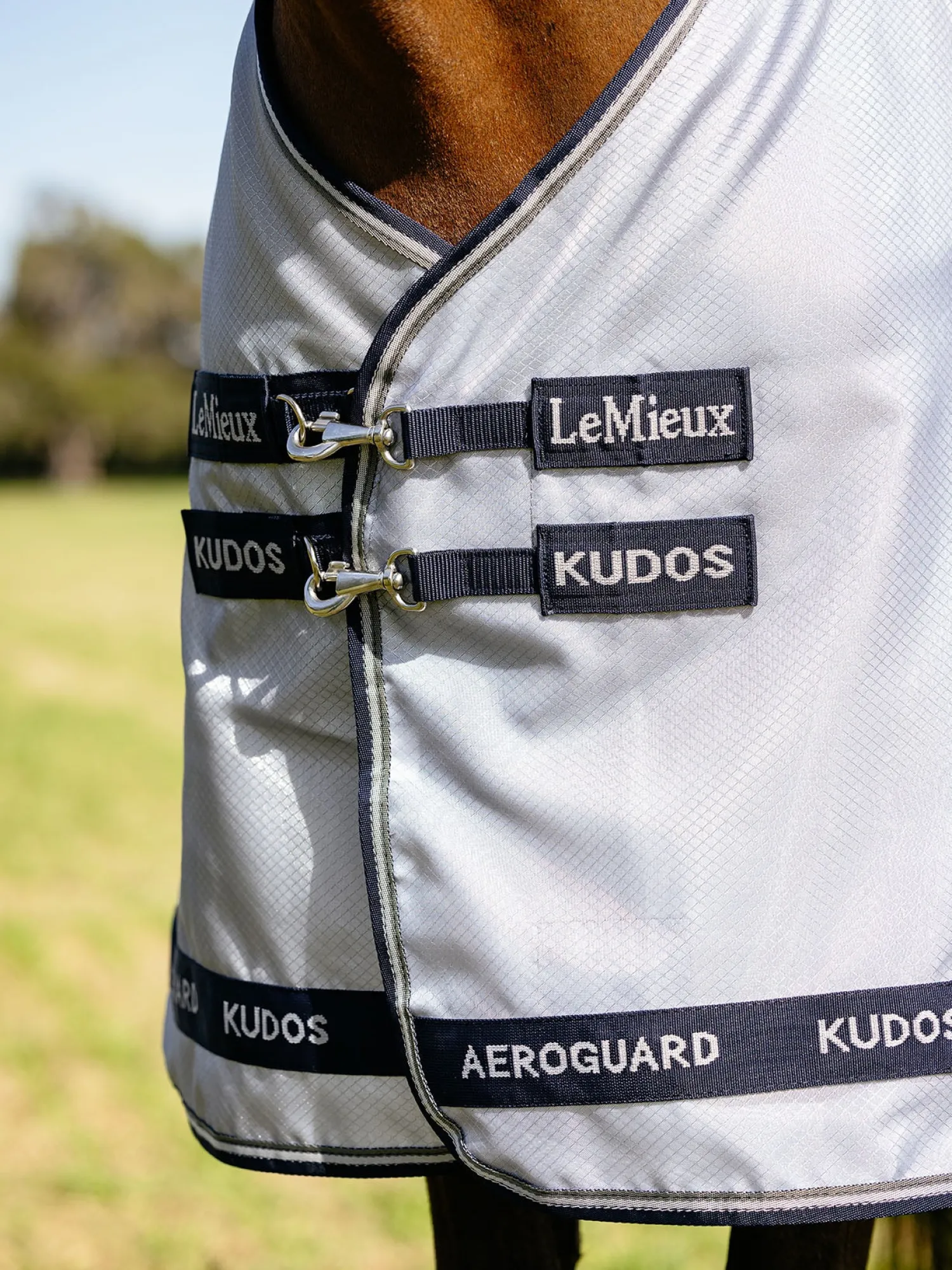 Best HORSE HEALTH TRADE LeMieux® Kudos AeroGuard Fly Sheet Silver