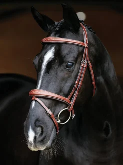 Hot HORSE HEALTH TRADE LeMieux® Kudos Competition Flash Bridle