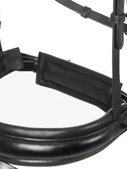 HORSE HEALTH TRADE LeMieux® Kudos Dressage Flash Bridle Black
