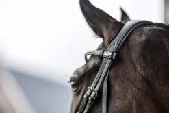 HORSE HEALTH TRADE LeMieux® Kudos Dressage Flash Bridle Black
