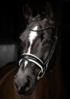 Sale HORSE HEALTH TRADE LeMieux® Kudos Patent Leather Dressage Bridle