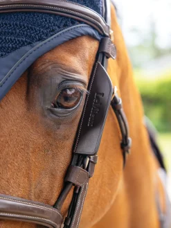 Online HORSE HEALTH TRADE LeMieux® Leather Bridle Blinkers