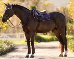 Discount HORSE HEALTH TRADE LeMieux® Loire Classic Close Contact Saddle Pad