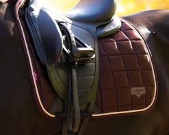 New HORSE HEALTH TRADE LeMieux® Loire Classic Dressage Saddle Pad