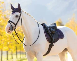 Sale HORSE HEALTH TRADE LeMieux® Loire Classic GP Saddle Pad