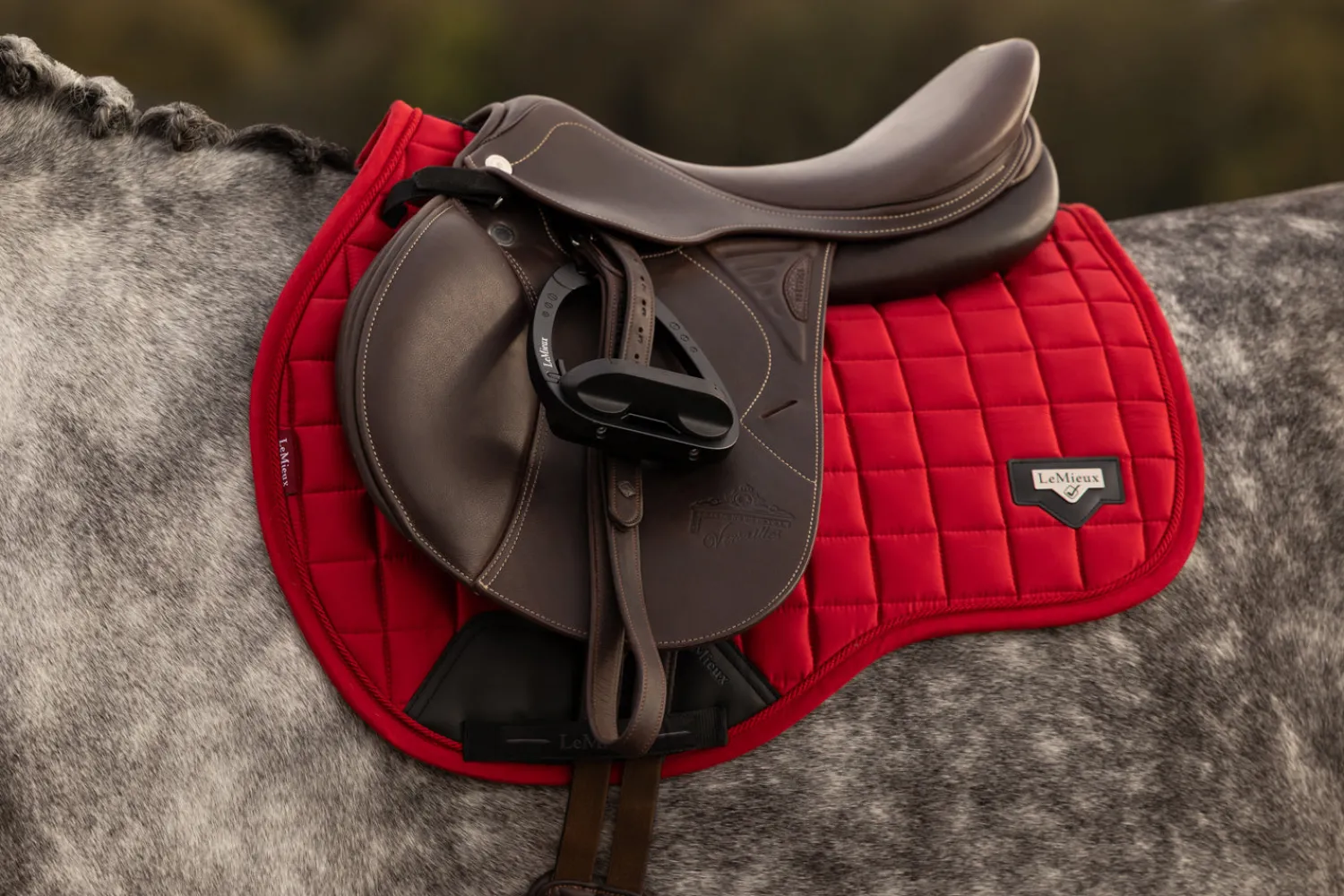 New HORSE HEALTH TRADE LEMIEUX® LOIRE GP SADDLE PAD