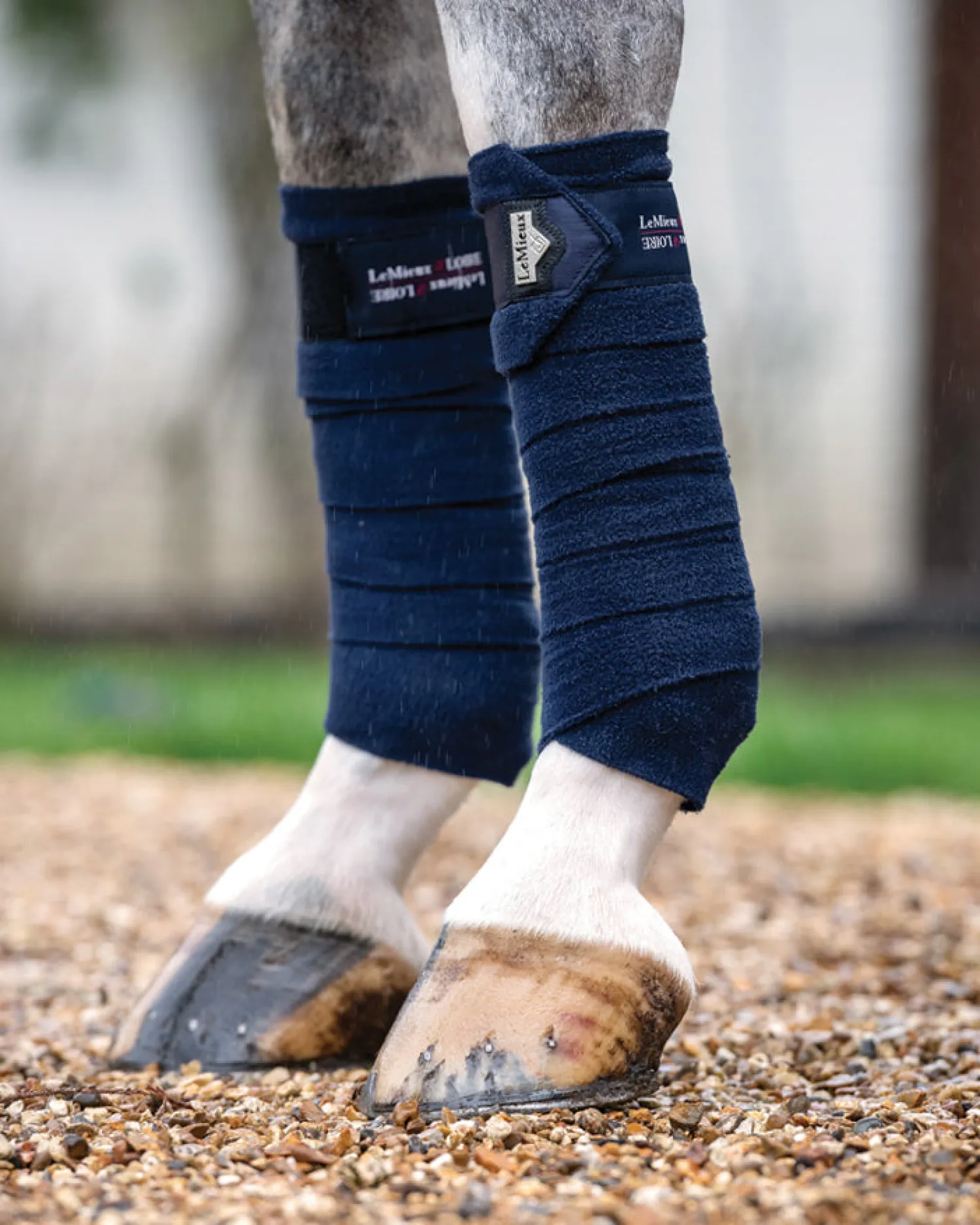 Clearance HORSE HEALTH TRADE LeMieux® Loire Polo Bandages