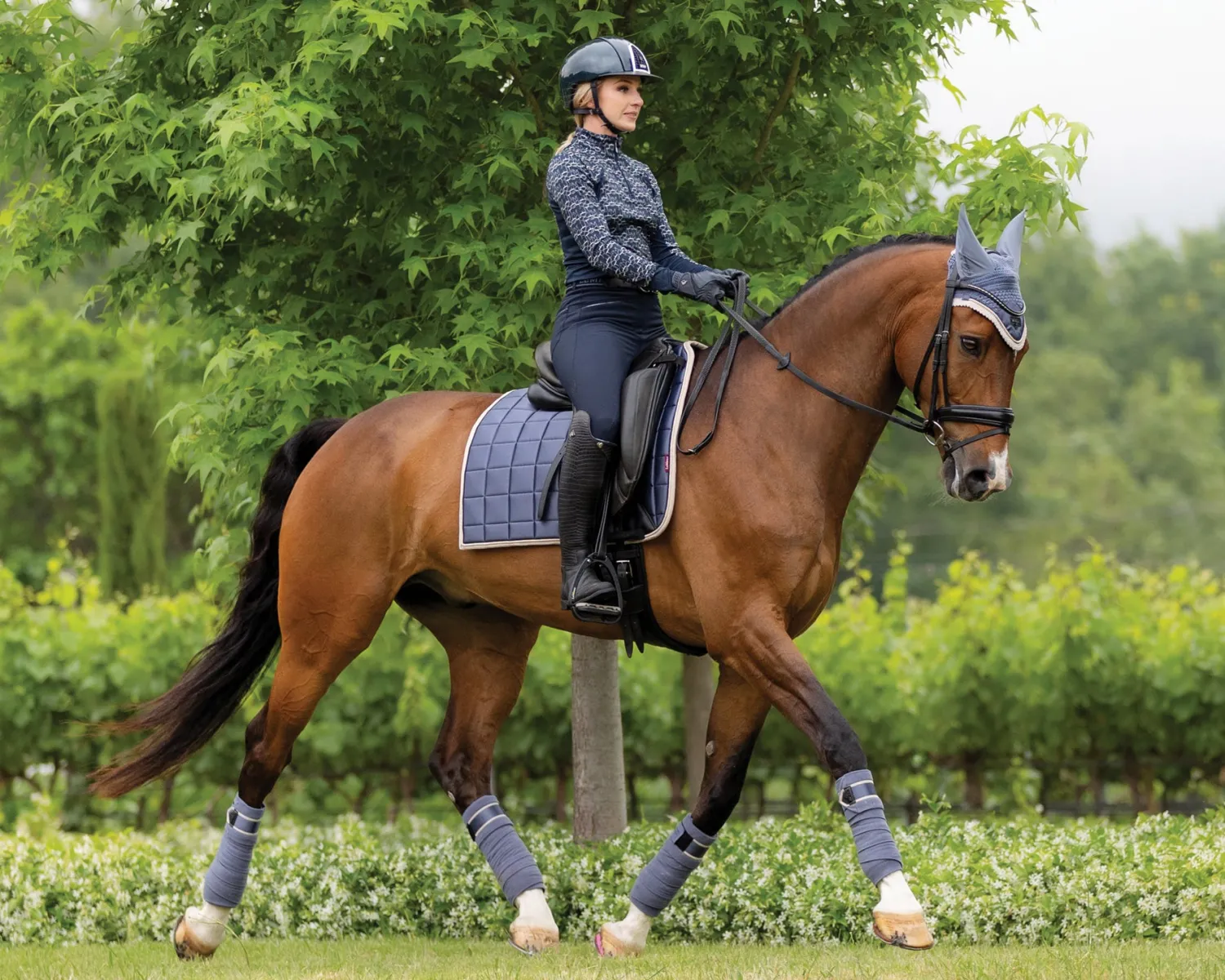 New HORSE HEALTH TRADE LeMieux® Loire Polo Wraps