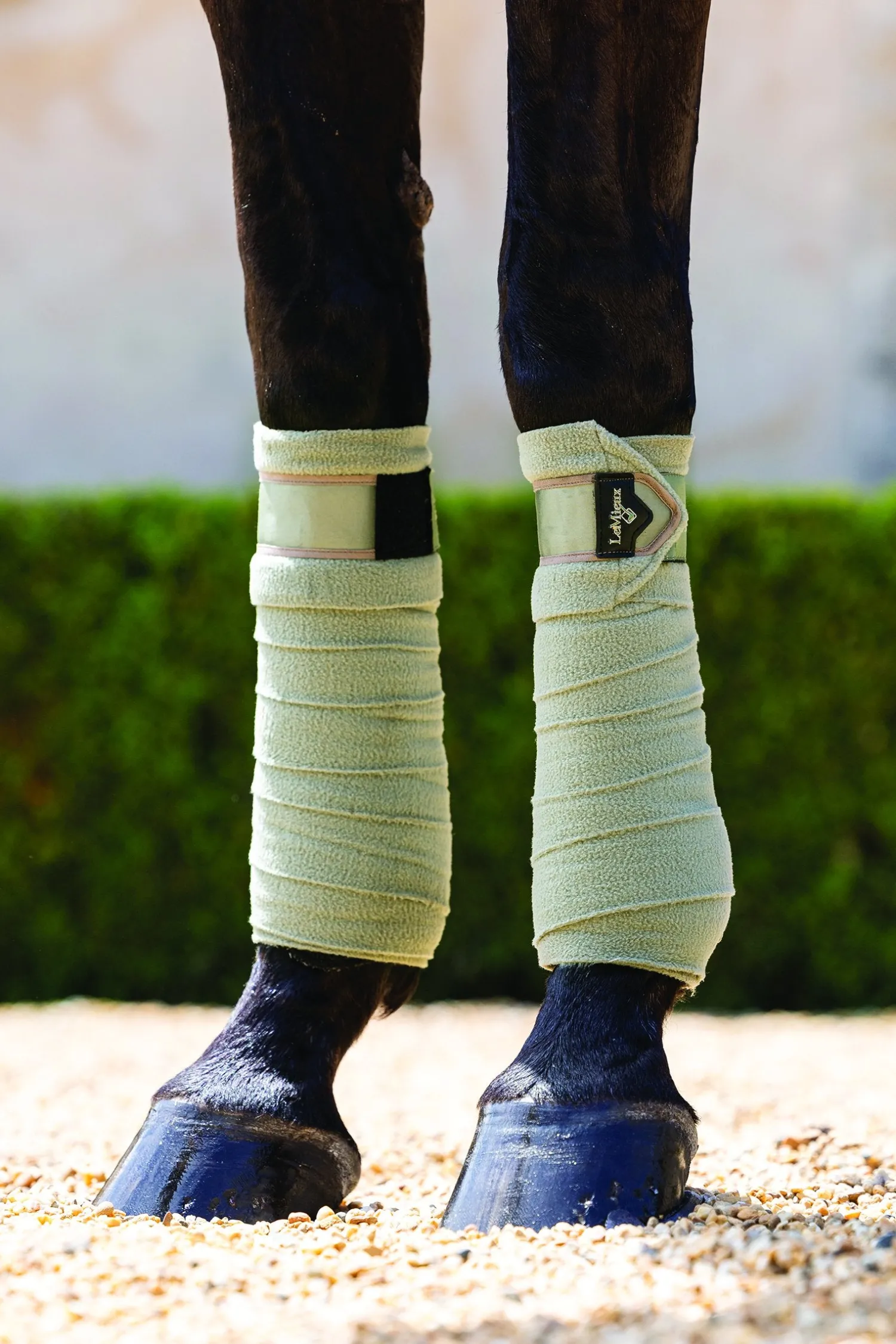 New HORSE HEALTH TRADE LeMieux® Loire Polo Wraps