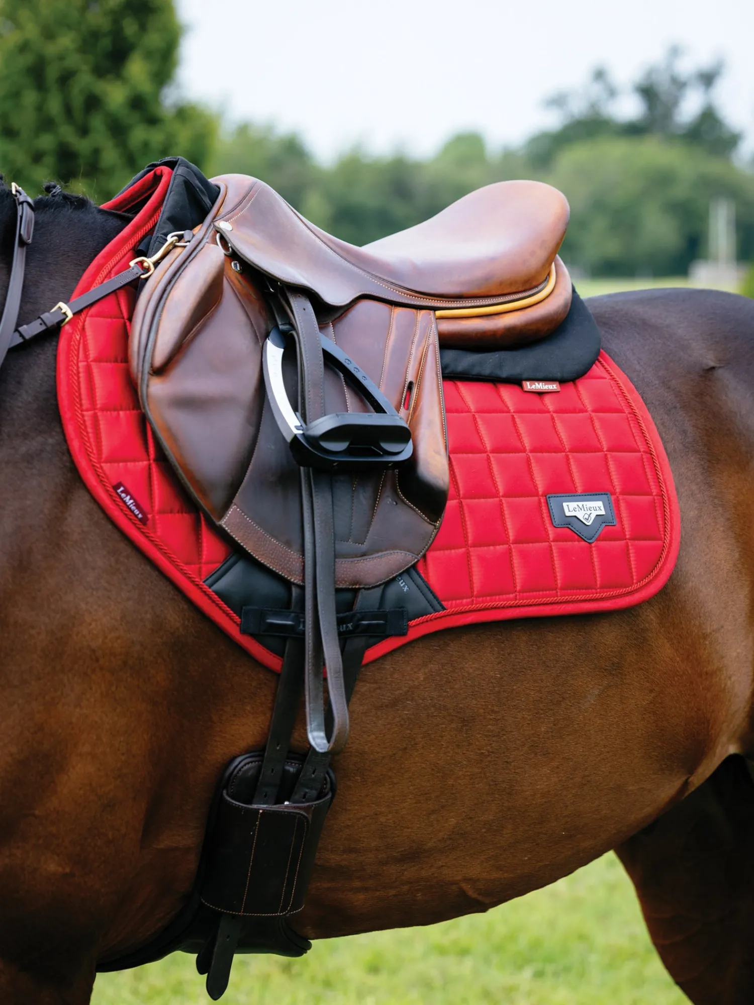 Best HORSE HEALTH TRADE LeMieux® Loire Satin Classic Close Contact Saddle Pad