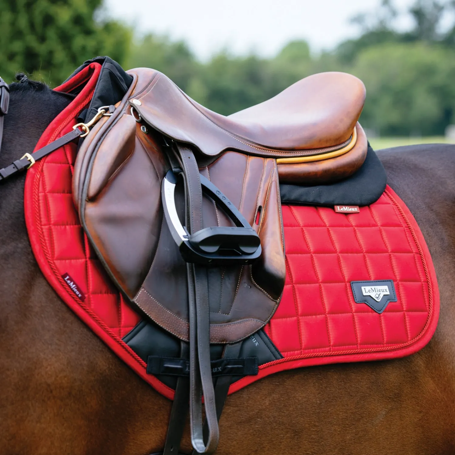 Best HORSE HEALTH TRADE LeMieux® Loire Satin Classic Close Contact Saddle Pad