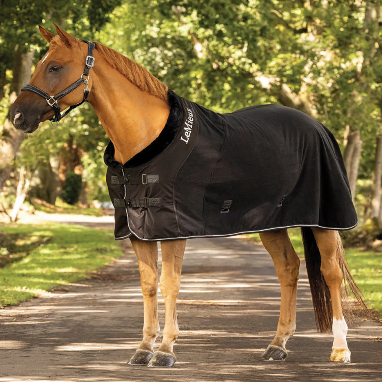 Best HORSE HEALTH TRADE LeMieux® Luxe Fleece Rug