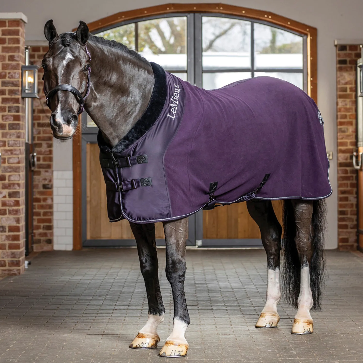 Best HORSE HEALTH TRADE LeMieux® Luxe Fleece Rug
