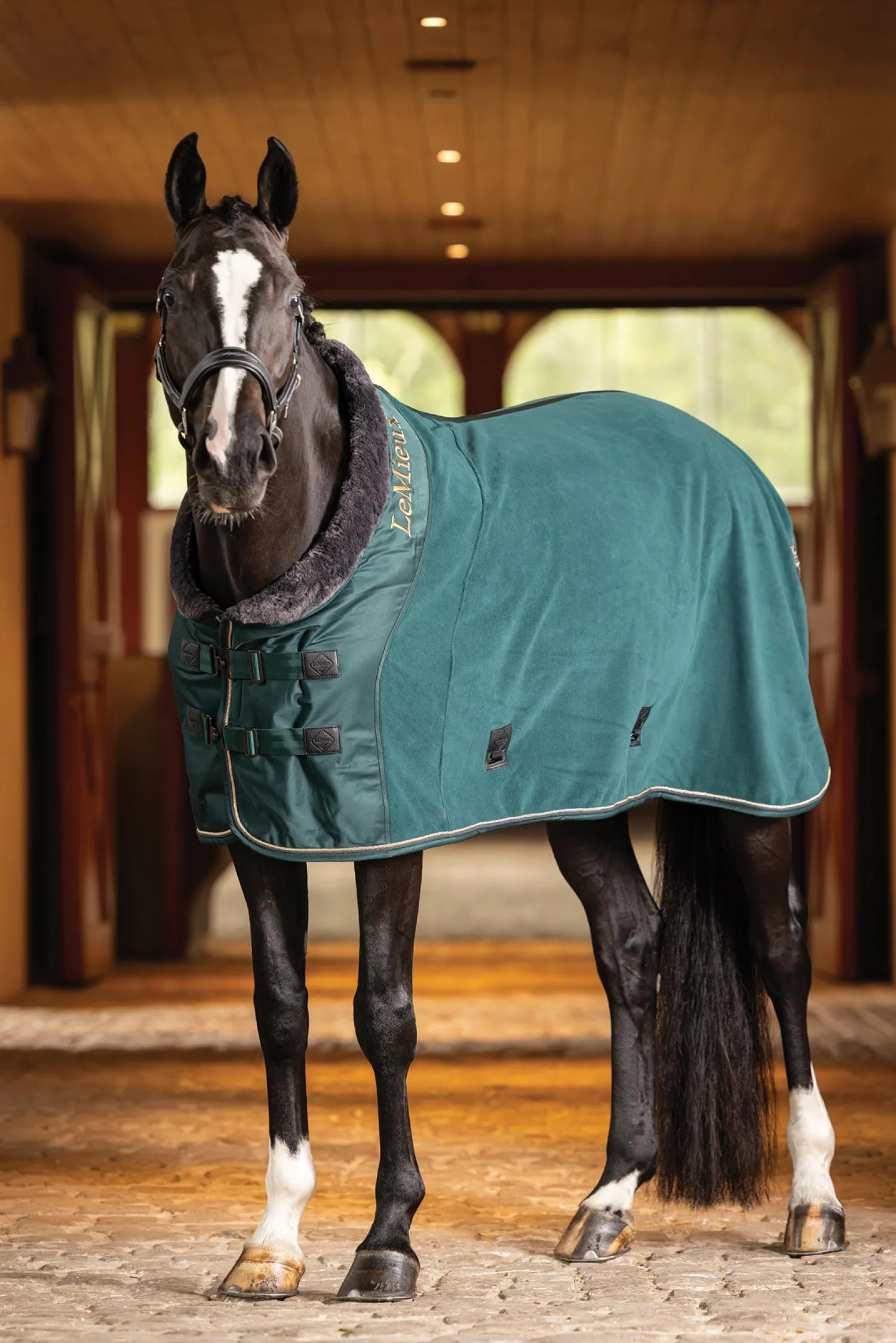 Clearance HORSE HEALTH TRADE LeMieux® Luxe Fleece Rug Spruce