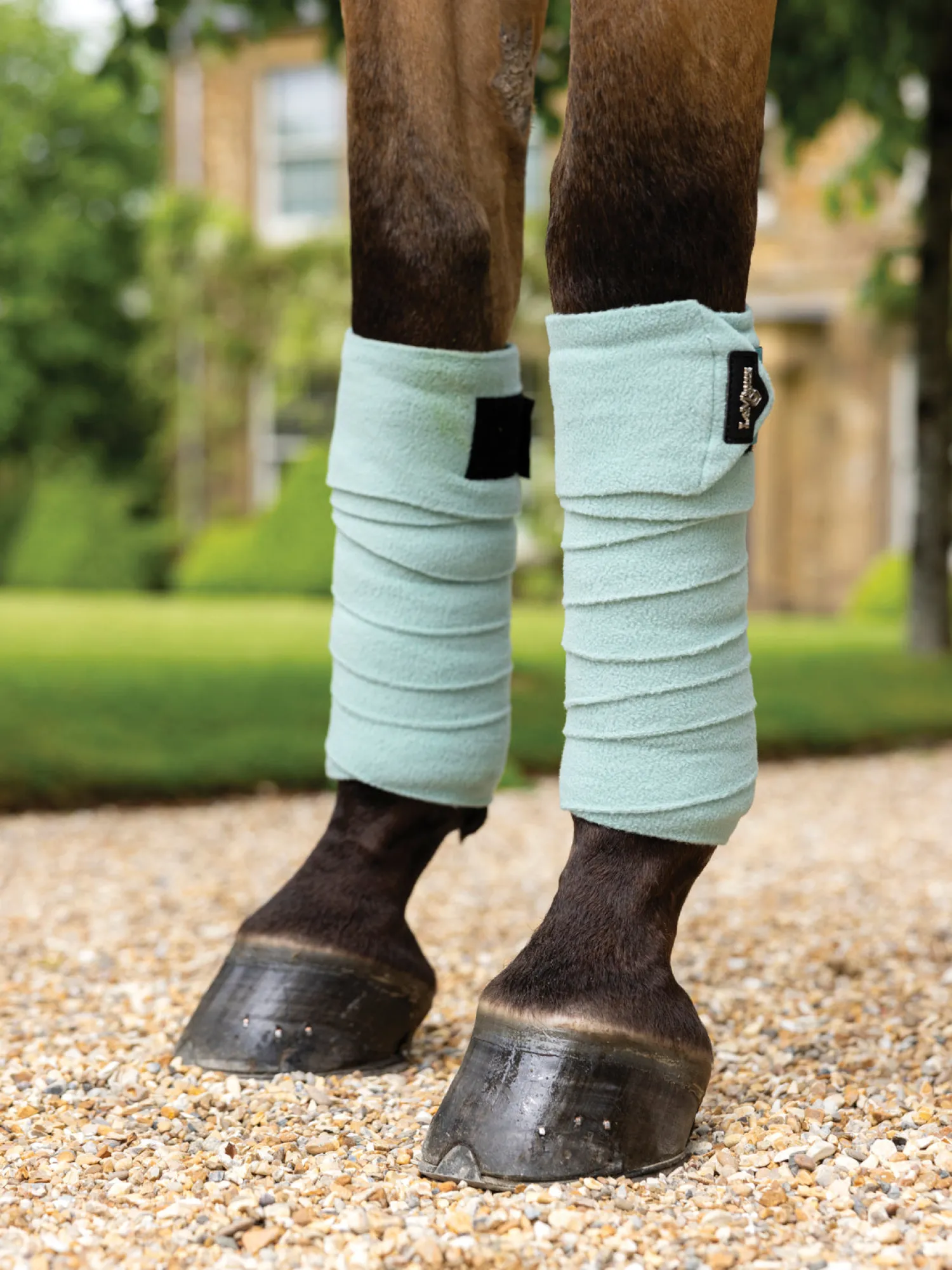Outlet HORSE HEALTH TRADE LeMieux® Polo Wraps