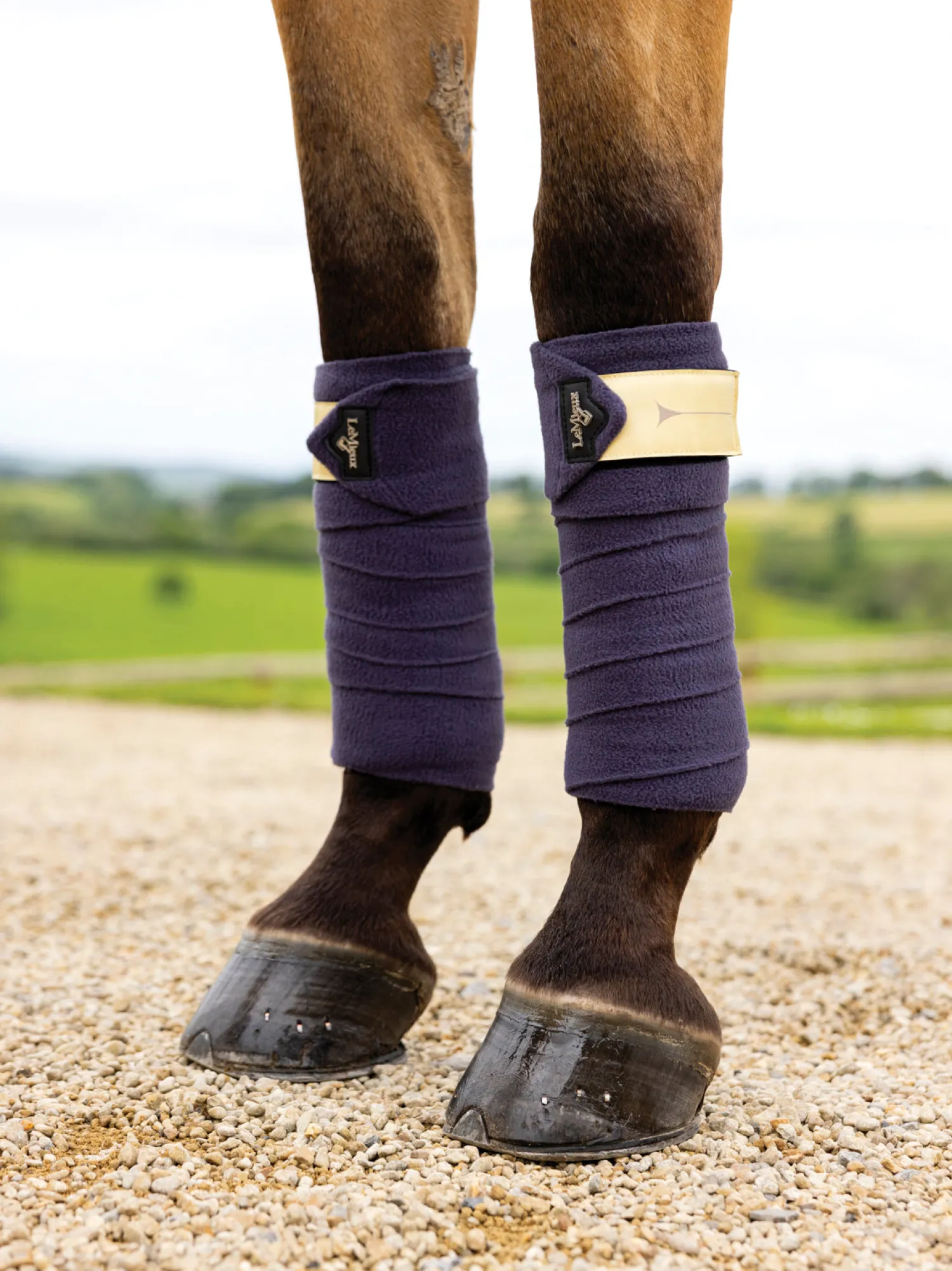 Outlet HORSE HEALTH TRADE LeMieux® Polo Wraps