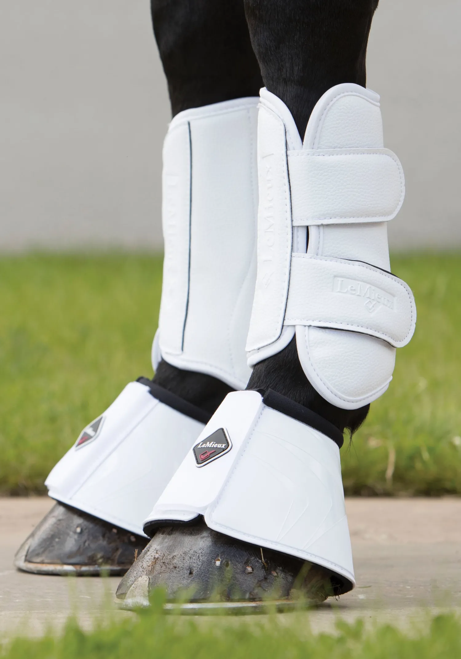 Clearance HORSE HEALTH TRADE LeMieux® Pro Schooling Boots