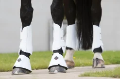 Clearance HORSE HEALTH TRADE LeMieux® Pro Schooling Boots