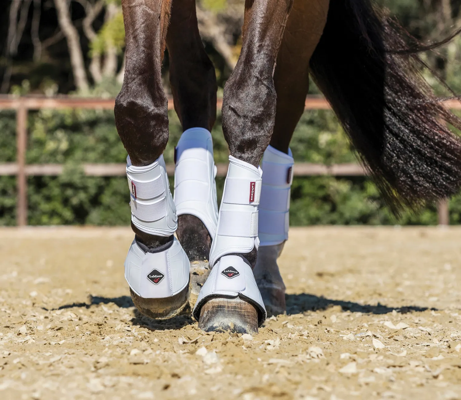 Hot HORSE HEALTH TRADE LeMieux® ProShell Brushing Boots