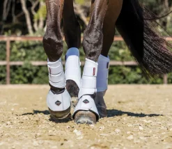 Hot HORSE HEALTH TRADE LeMieux® ProShell Overreach Boots
