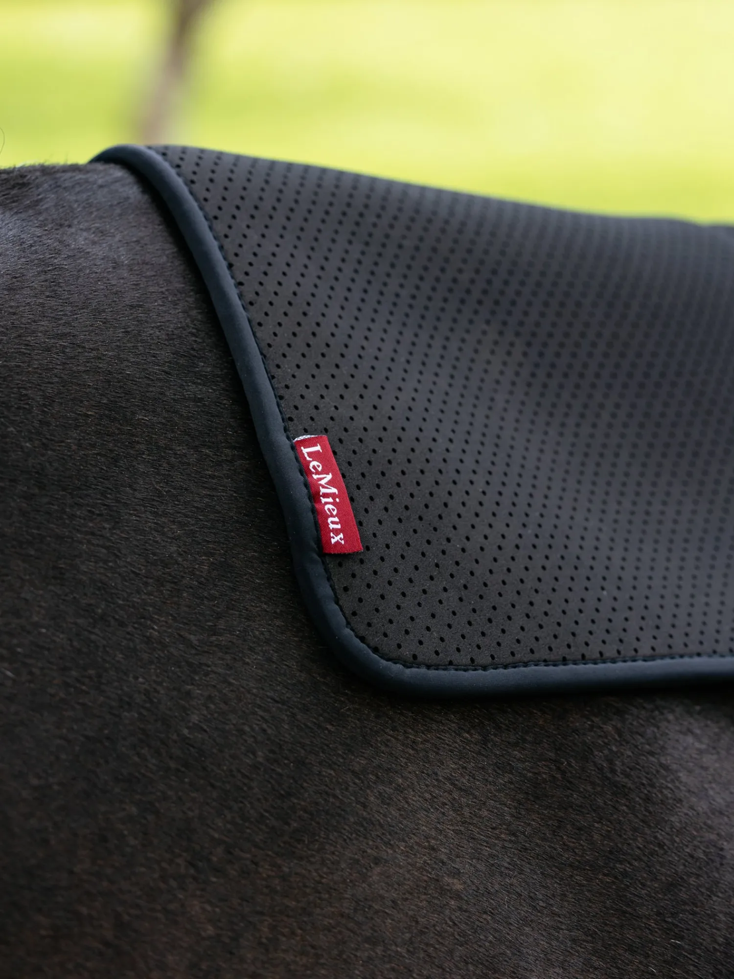 HORSE HEALTH TRADE LeMieux® Square Non-Slip Half Pad Black