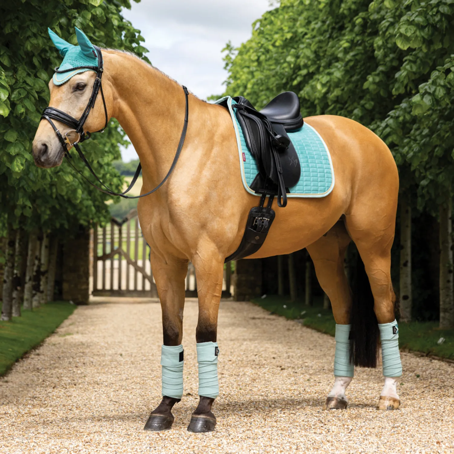 Sale HORSE HEALTH TRADE LeMieux® Suede Dressage Pad