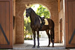 Sale HORSE HEALTH TRADE LeMieux® Suede Dressage Pad