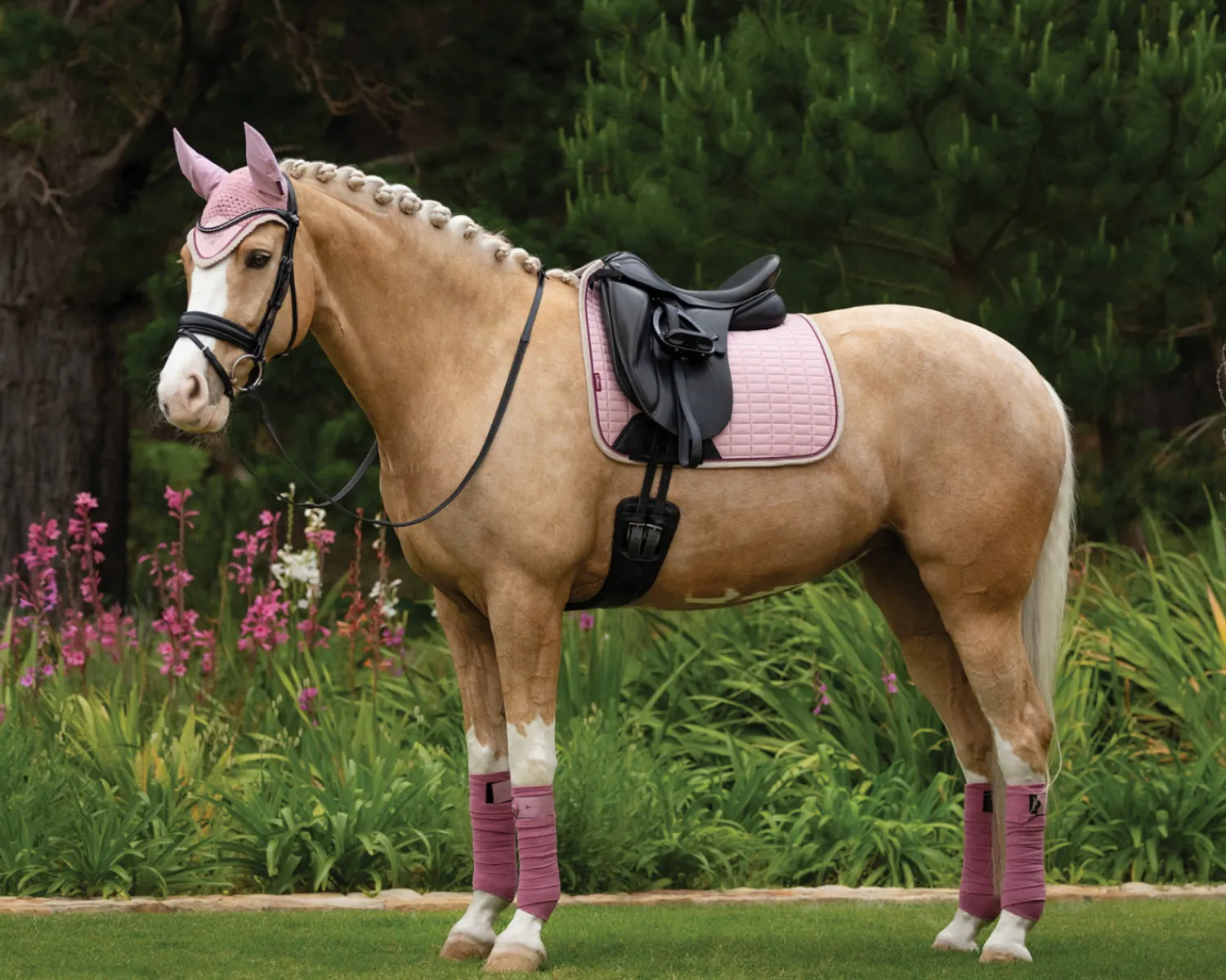 Sale HORSE HEALTH TRADE LeMieux® Suede Dressage Pad