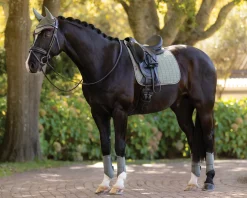 HORSE HEALTH TRADE LeMieux® Suede Dressage Saddle Pad