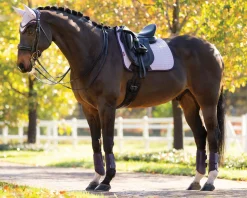 HORSE HEALTH TRADE LeMieux® Suede Dressage Saddle Pad