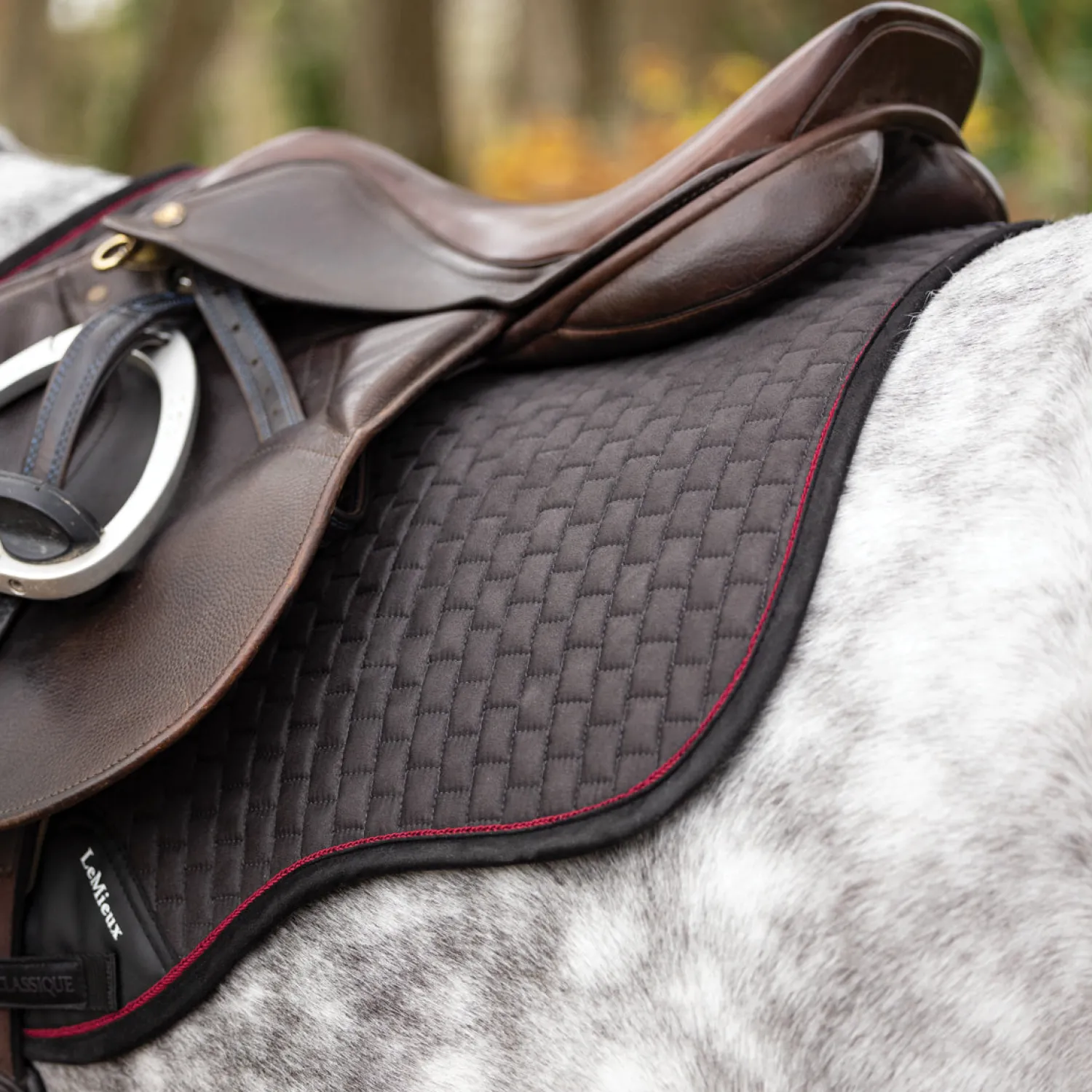 HORSE HEALTH TRADE LeMieux® Suede GP Saddle Pad