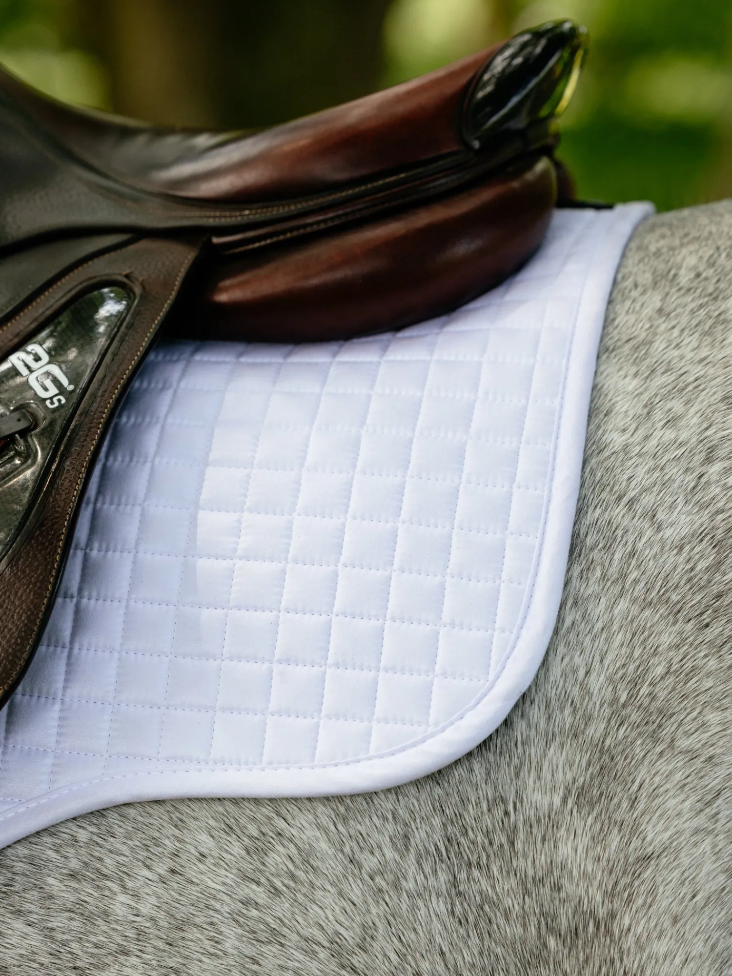 HORSE HEALTH TRADE LeMieux® Suede GP Saddle Pad