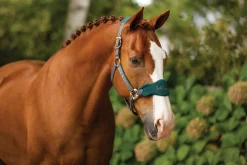 Discount HORSE HEALTH TRADE LeMieux® Vogue Halter & Lead Rope Set