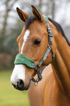 New HORSE HEALTH TRADE LeMieux® Vogue Halter & Rope Lead Set