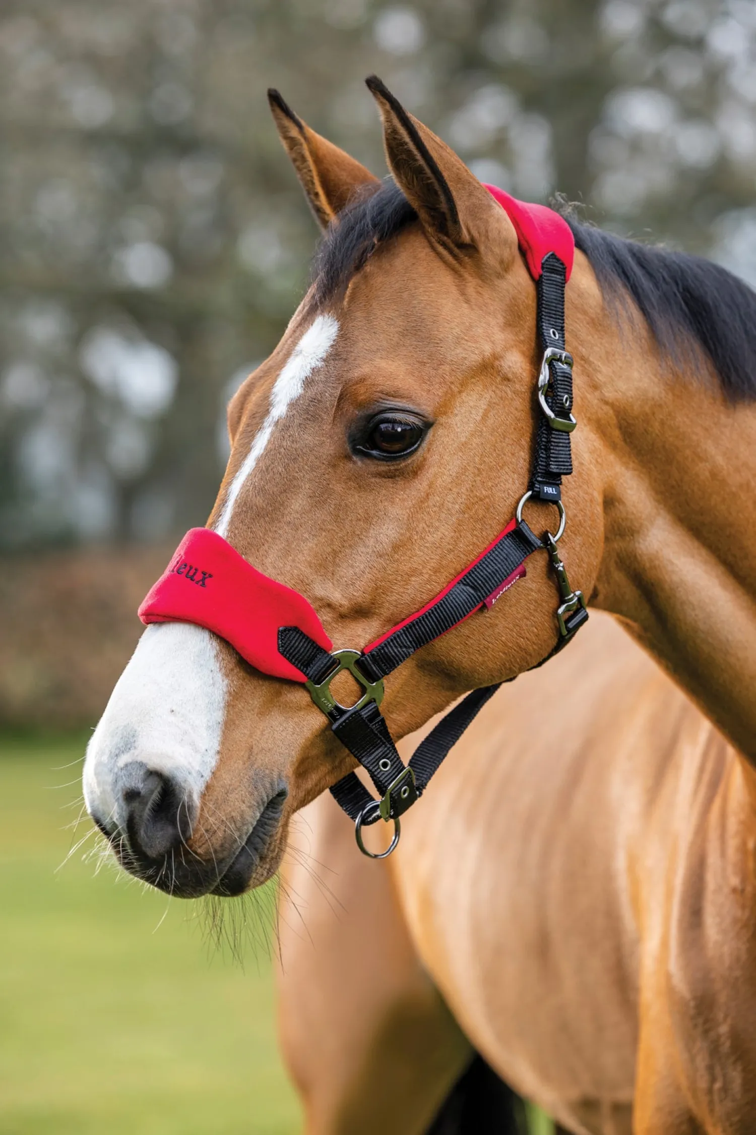 New HORSE HEALTH TRADE LeMieux® Vogue Halter & Rope Lead Set