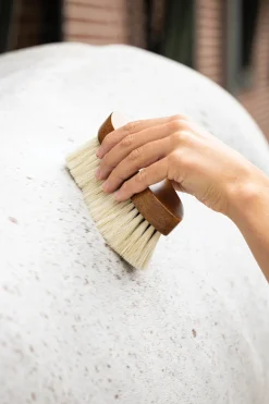Best HORSE HEALTH TRADE LeMieux® Artisan Deep Clean Dandy Brush Brown