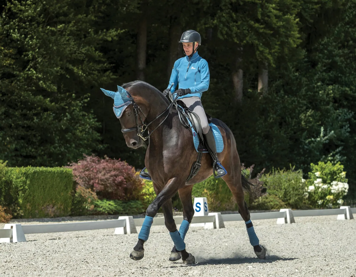 Outlet HORSE HEALTH TRADE LeMieux® Suede Dressage Square Pad