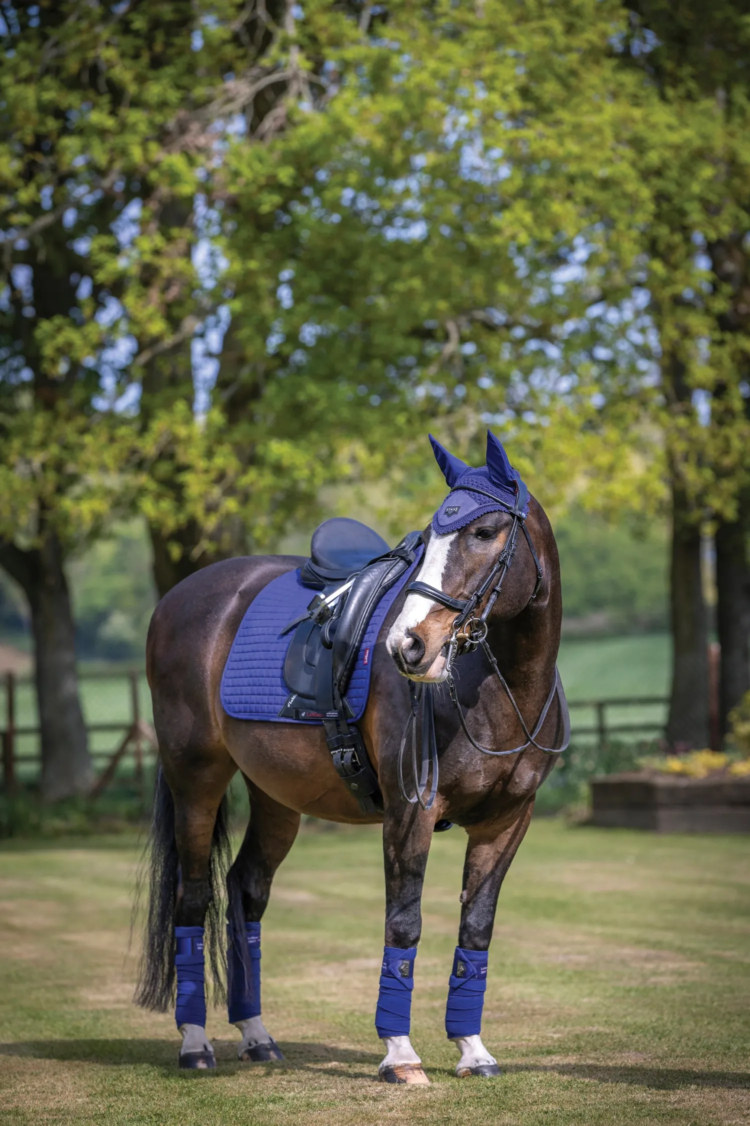 Outlet HORSE HEALTH TRADE LeMieux® Suede Dressage Square Pad