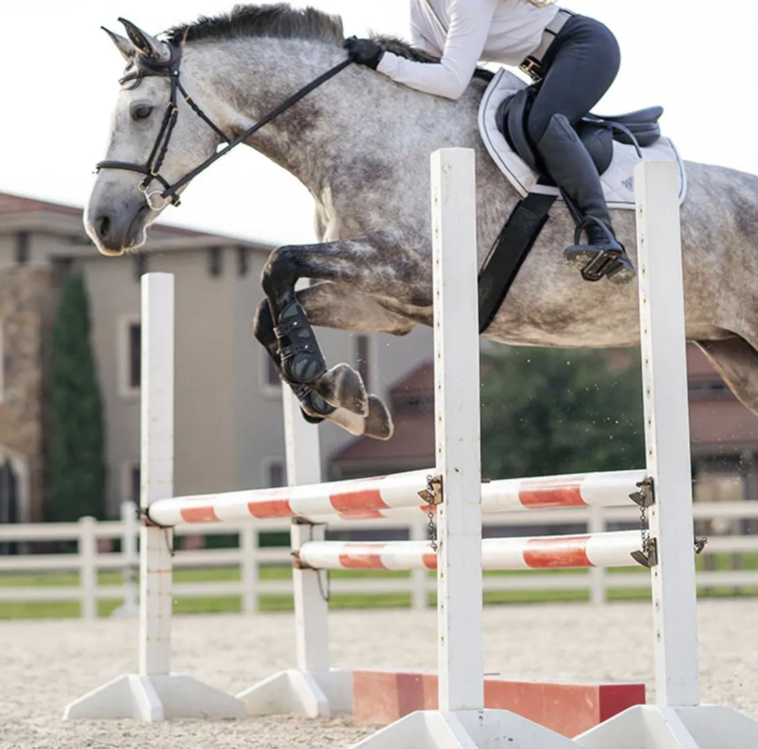 Online MAJYK EQUIPE ® Bionic Hybrid Performance Jump Boots