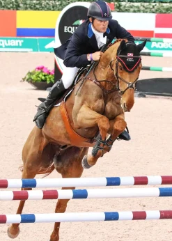Discount MAJYK EQUIPE ® Stadium Front Jump Boots with Arti-Lage™ Impact Technology