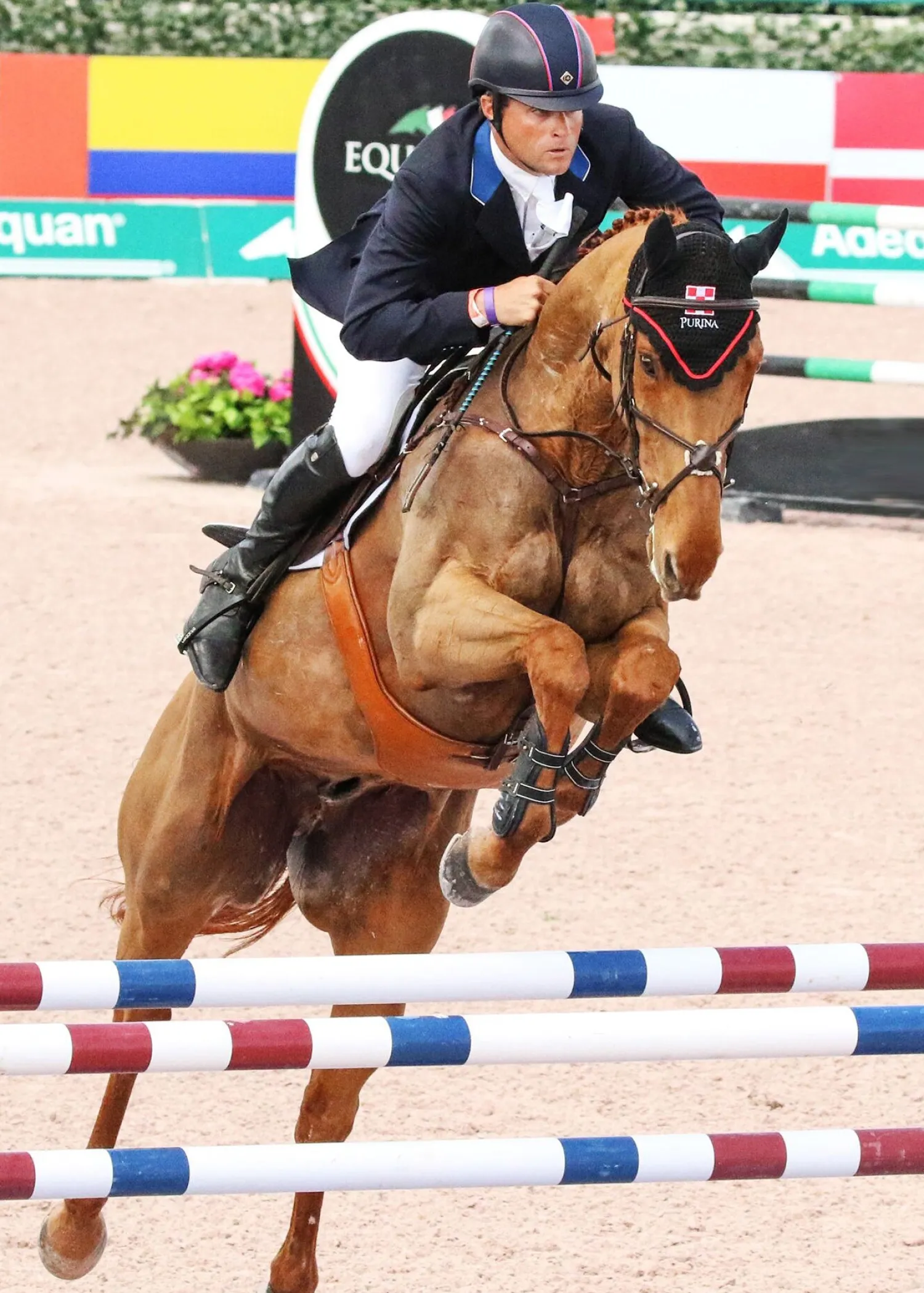 Discount MAJYK EQUIPE ® Stadium Front Jump Boots with Arti-Lage™ Impact Technology