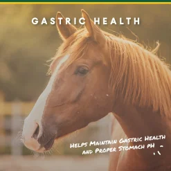 Outlet ANIMAL HEALTH INT Manna Pro® Corta-Flx® U-Gard™ Pellets, 4 Pounds
