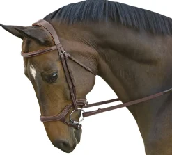 Hot INT RIDING HELMET Marcel Toulouse Hybrid Jumper Bridle Chocolate