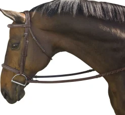 Outlet INT RIDING HELMET Marcel Toulouse Platinum Liza/Camden Snaffle Hunter Bridle Chocolate