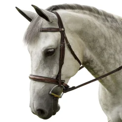Best INT RIDING HELMET Marcel Toulouse Platinum Liza Hunter Derby Bridle Chocolate